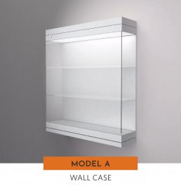 EXCEL line wall case