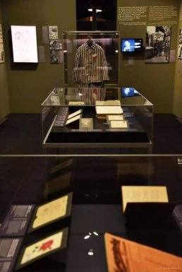 traveling exhibition display cases