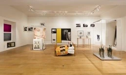 FRANK AMERICA high-quality museum showcases