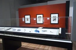 museum showcases manufacturers